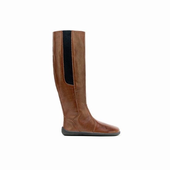 Cizmy Be Lenka Barefoot Sierra Damske Hnede | SK-7956