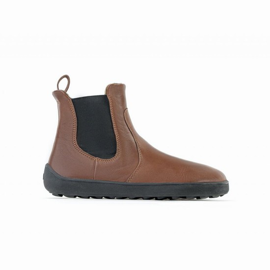 Clenkove Topanky Be Lenka Barefoot Entice Damske Hnede | SK-5301