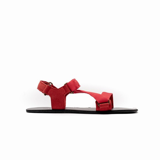 Sandale Be Lenka Barefoot Flexi Damske Červené | SK-3821